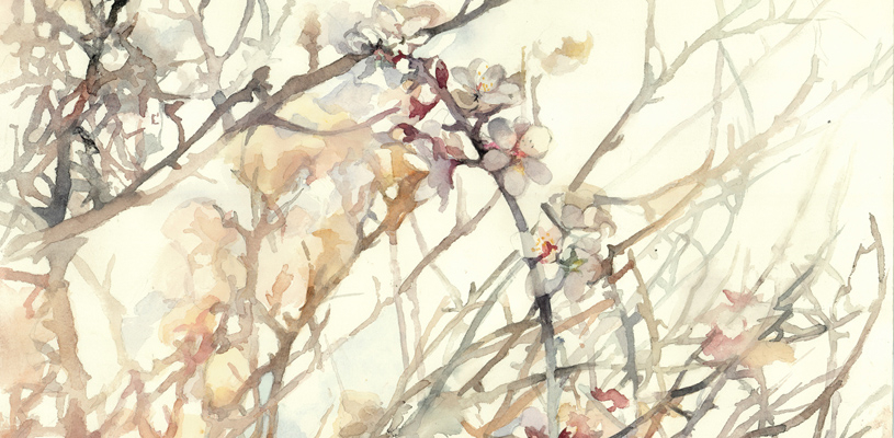 Pequeño Paraíso - Acuarelas de Lara Barco