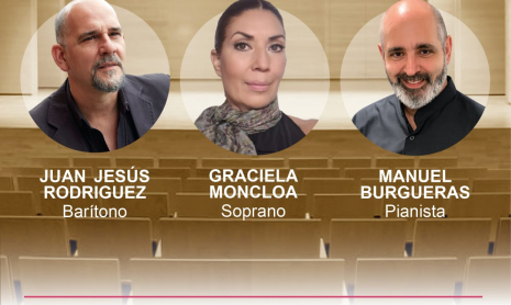 Cartel Concierto solidario AMASUVE